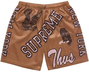 Supreme Varsity Mesh Shorts Orange